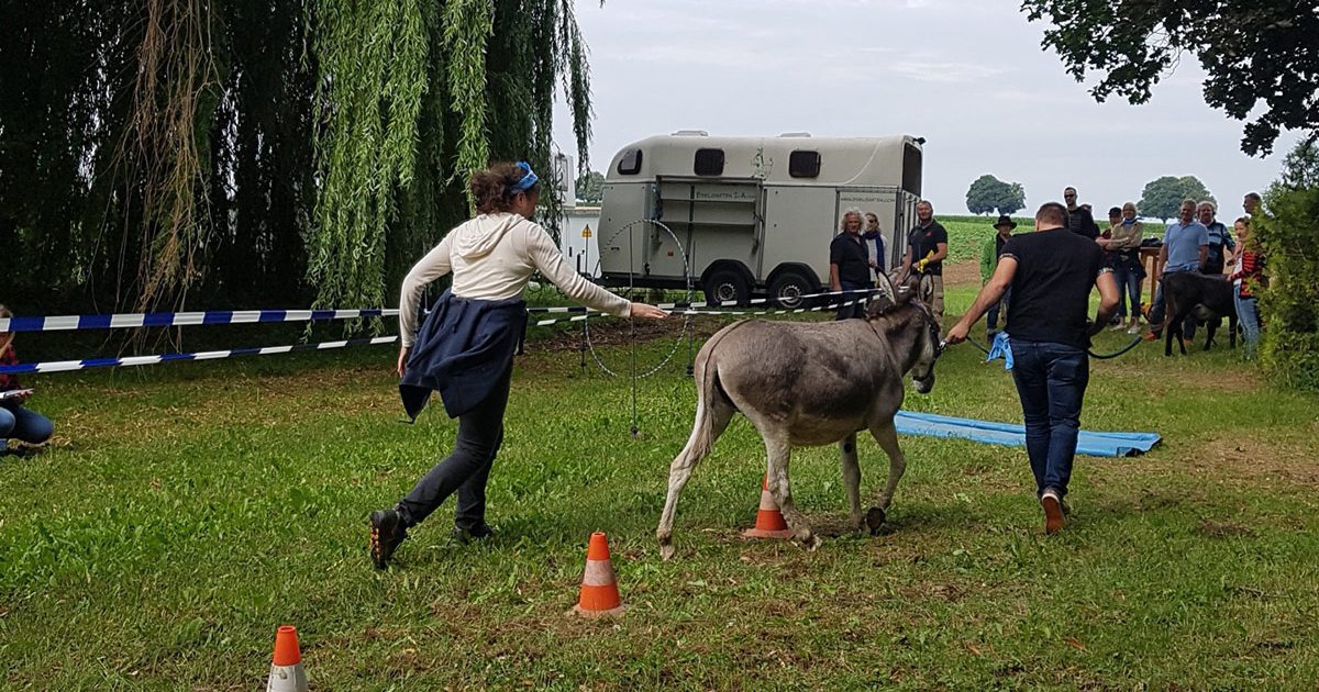 eventreich_lifesciences_Esel